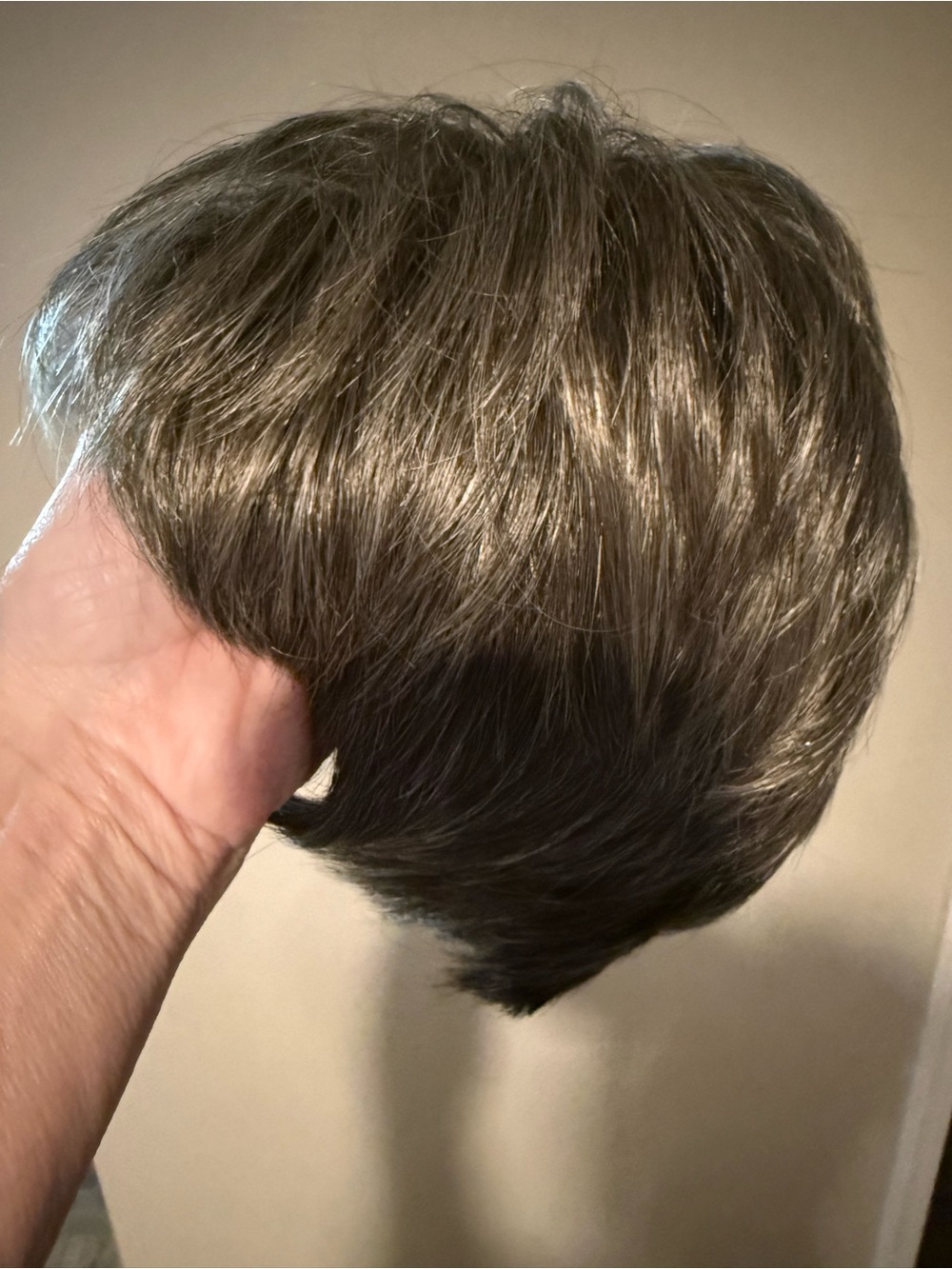 Rene of Paris Wig in Sandy silver